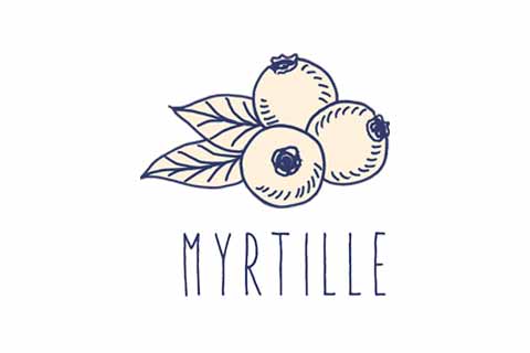 TCH'IN - partenaire officiel : Myrtille